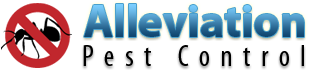 logo02.png